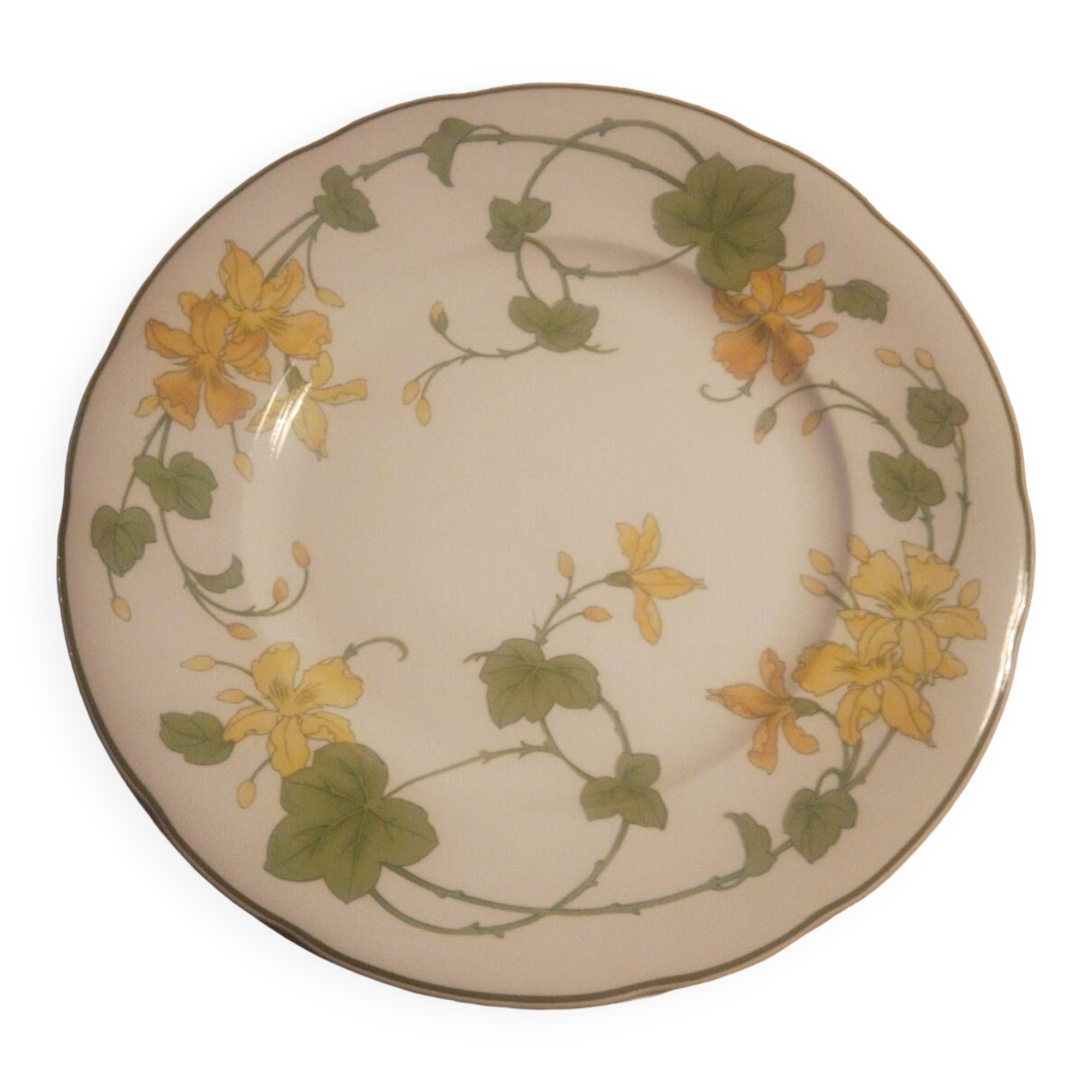 6 Villeroy and Boch “geranium” plates