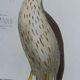 Original Ornithological Plate "Sacred Falcon - Hobby - &c..." Buffon 1836