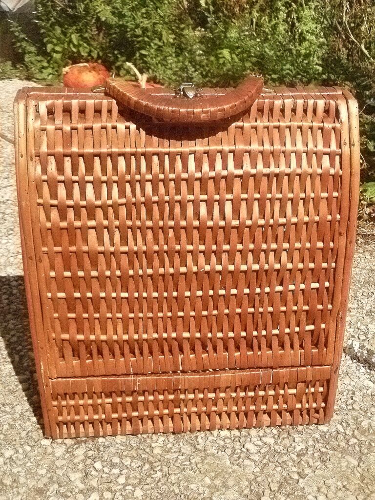 Bottle case, vintage