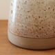 Pitcher in sandstone Roger Jacques