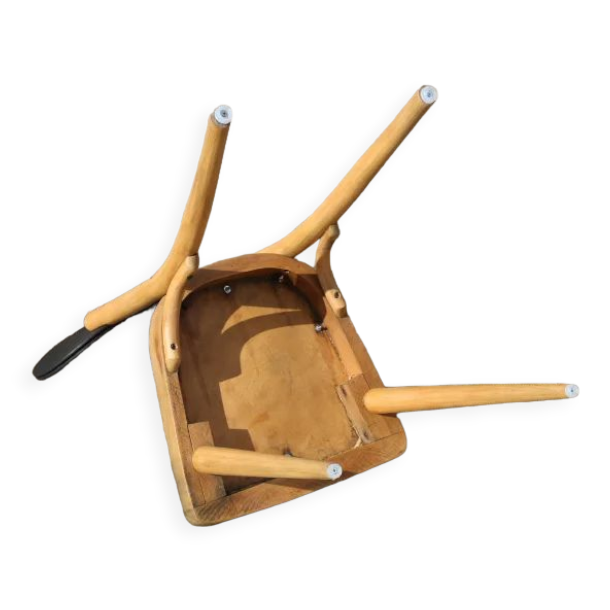 Chair 1950 skaï black light beech