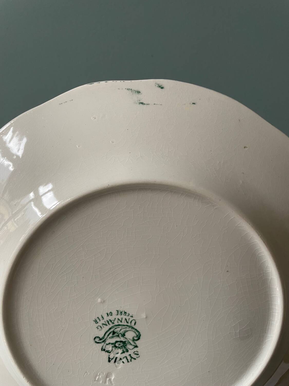 Series of 12 Terre de Fer flat plates in Onnaing earthenware, Sylvia model
