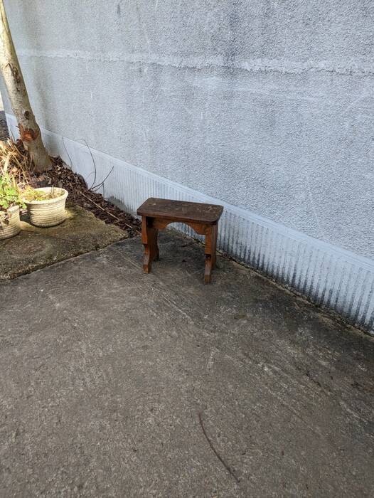 Step, plant support