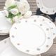 Dessert plates x 7 retro porcelain 1920/50 with flowers, CH-RENOU