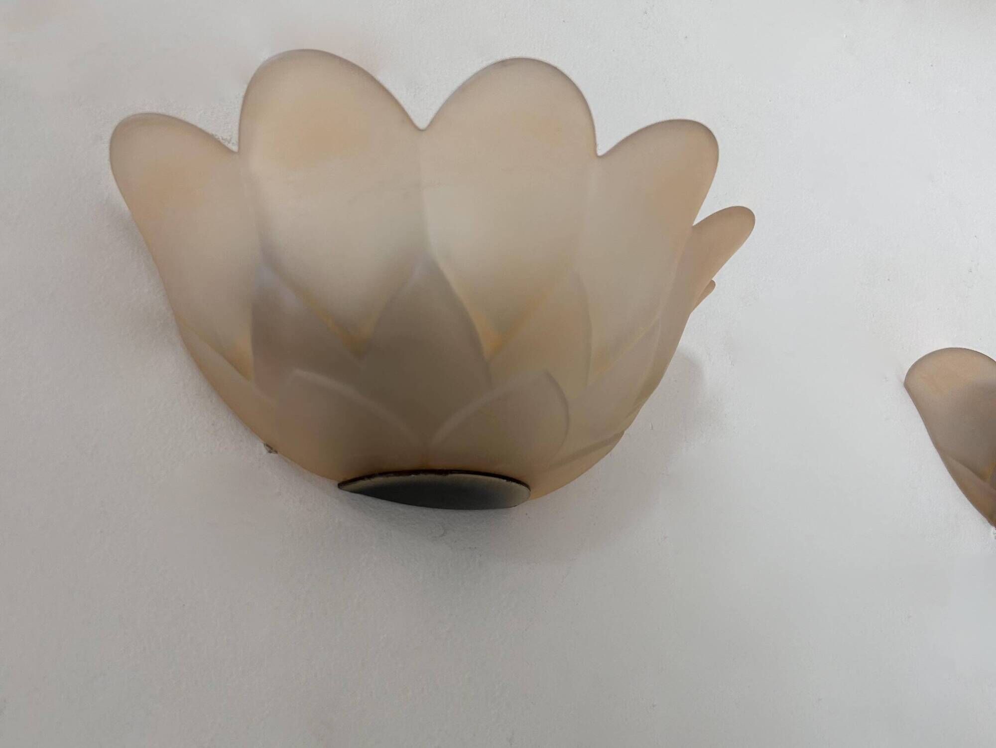 Pair of vintage wall lights, pink sandblasted glass, France 1970