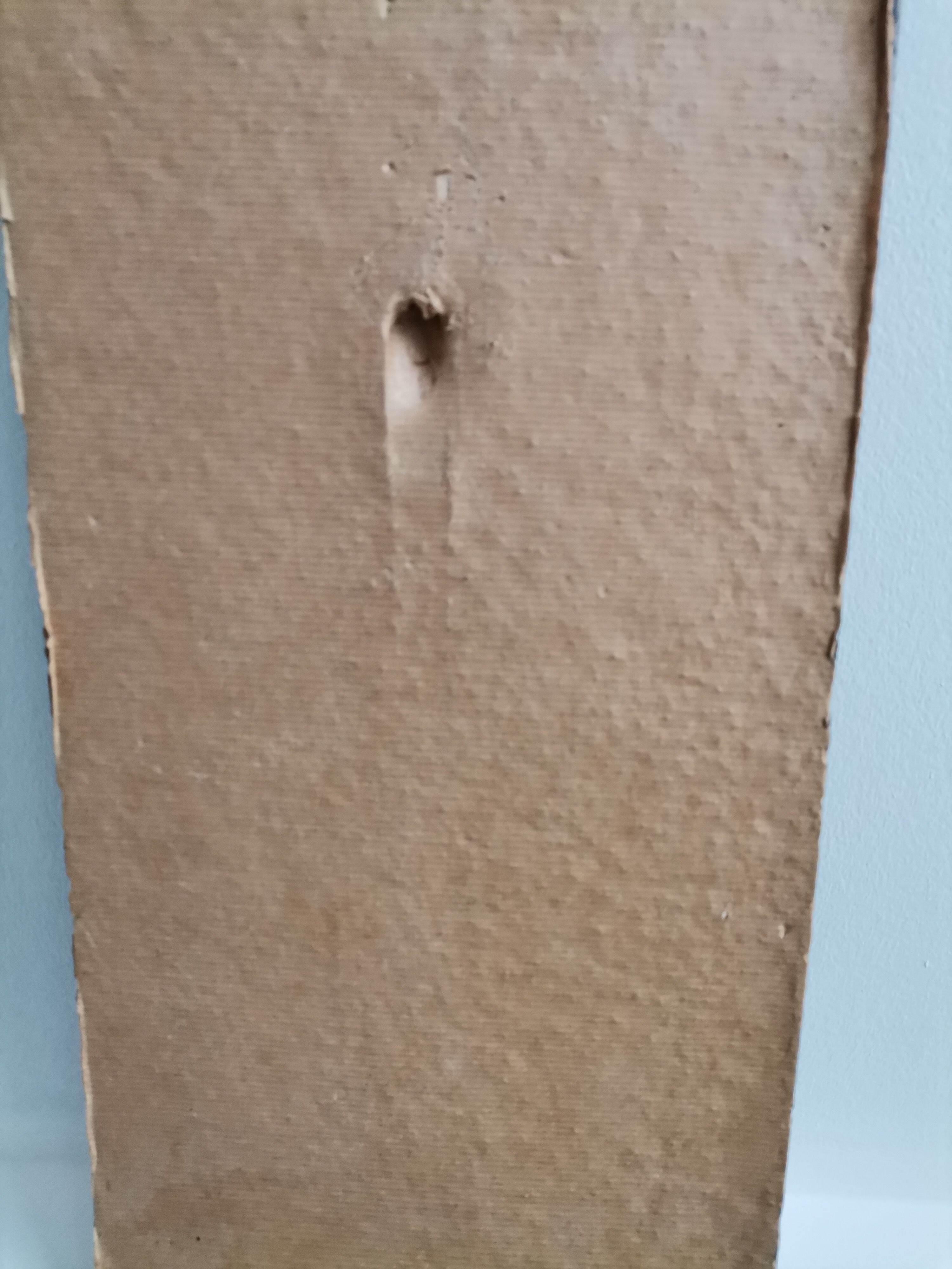 Decorative enamelled wall plate signed