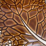 Leaf-shaped ceramic trivet