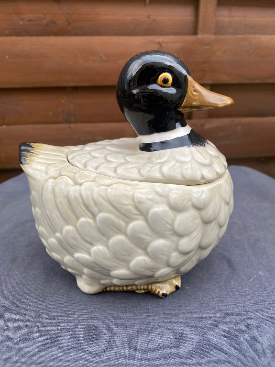 Terrine canard barbotine