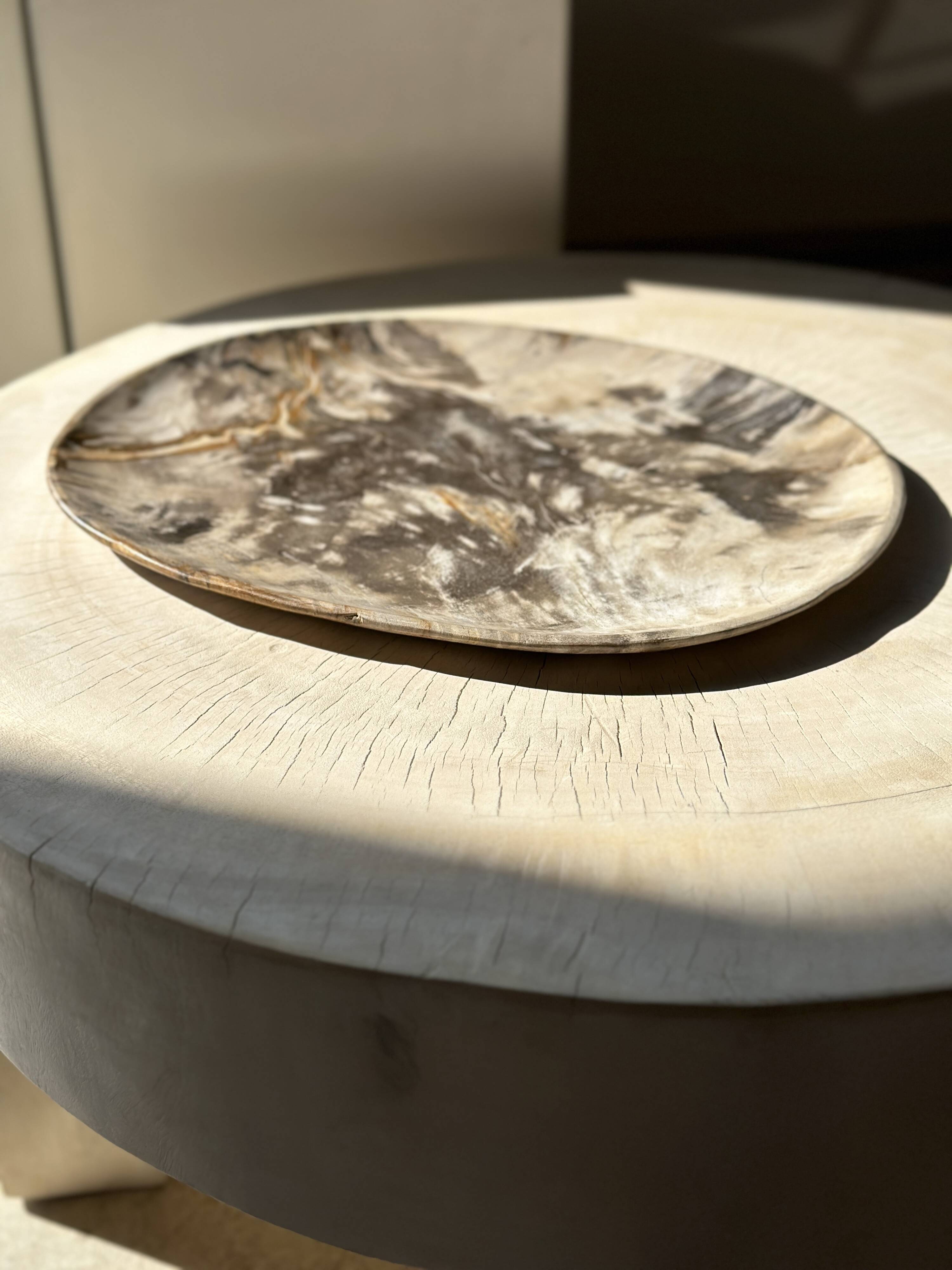 Very large pocket or dish in petrified wood