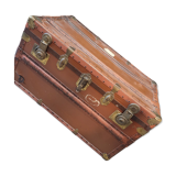 Trunk