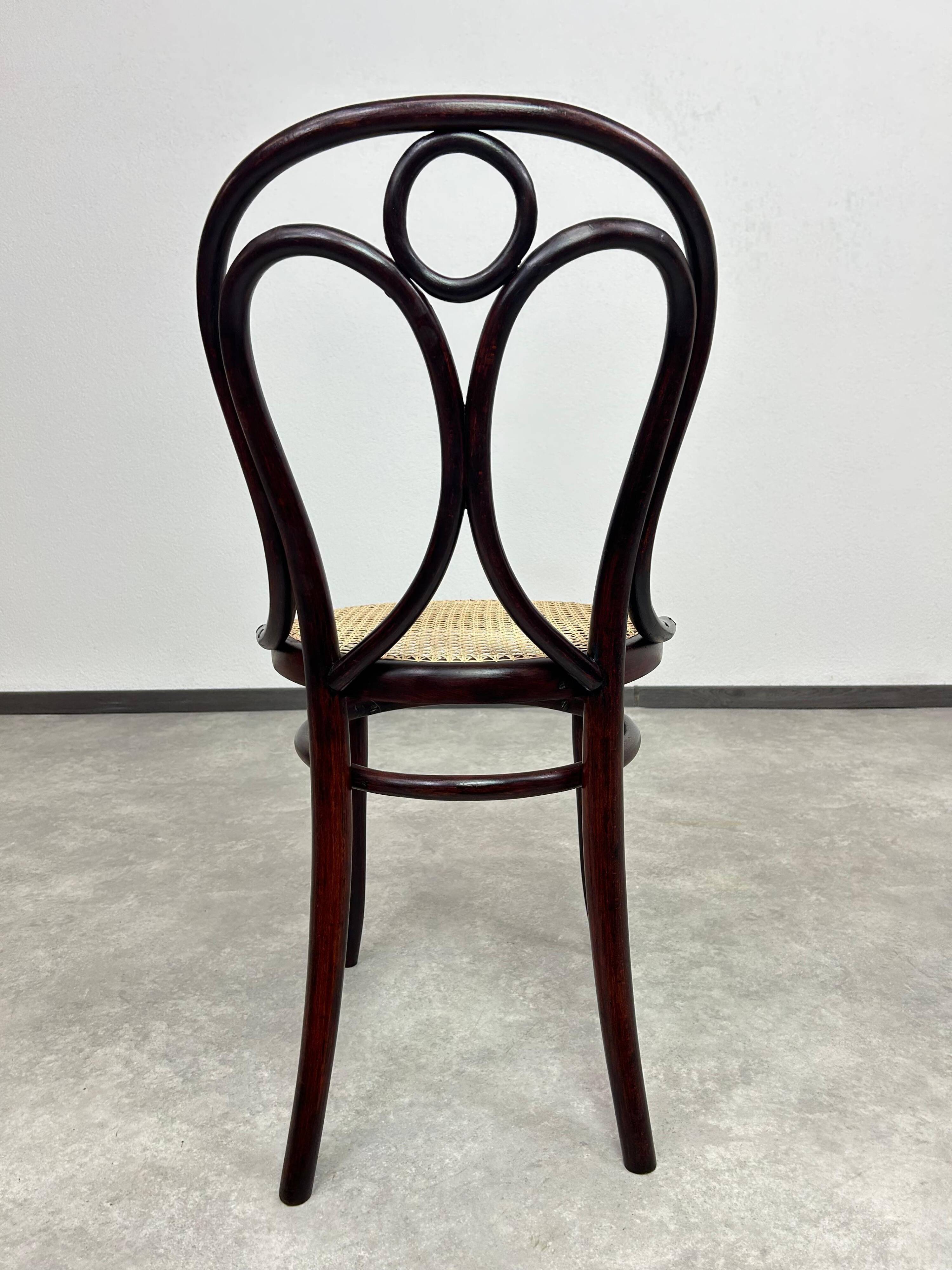 Bentwood dining chair No. 19 by Thonet