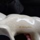 Polar Bears in Art Deco glazed ceramic by Le Dauphin