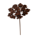 Iron flower