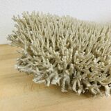 Old XL coral 51 cm