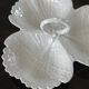 White earthenware plate