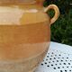 Terracotta pot