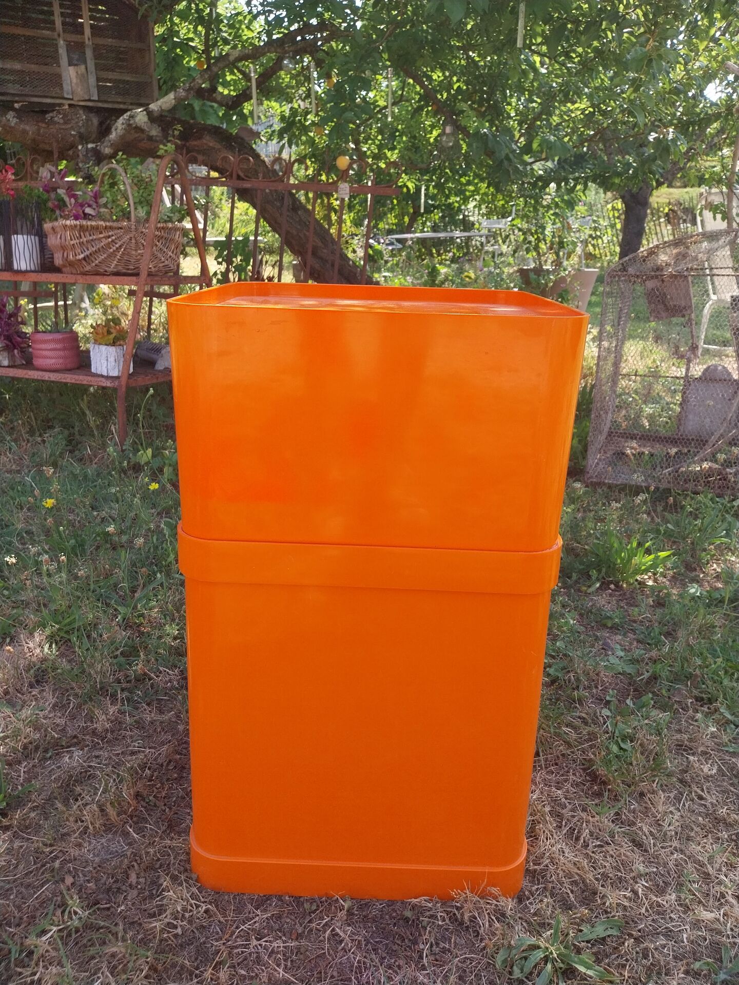 Orange dessert