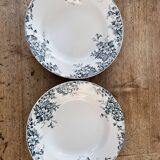 Assiettes creuses anciennes Terre de Fer.