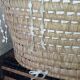 Vintage palm bassinet