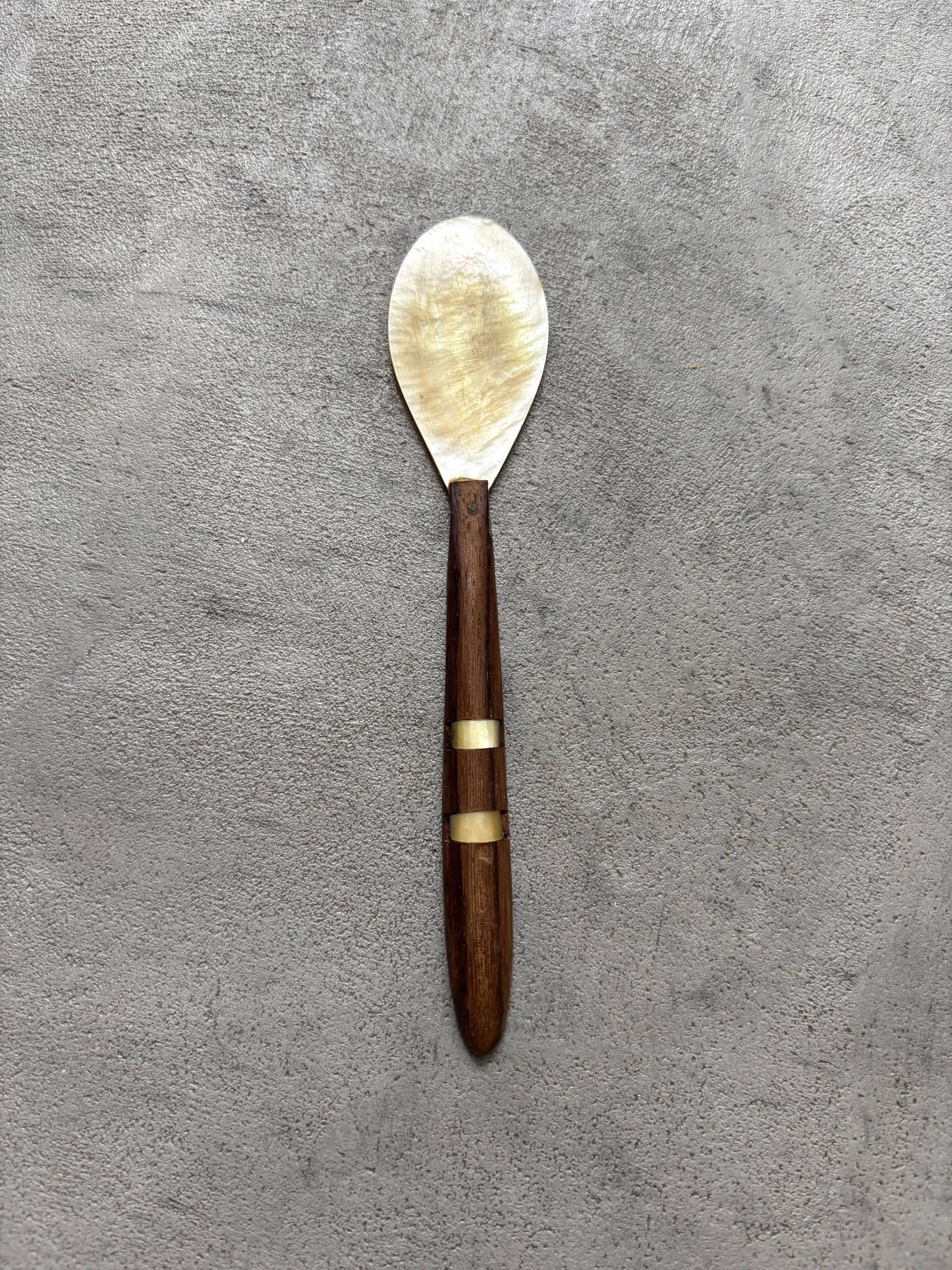 Mother-of-pearl and wood spoon