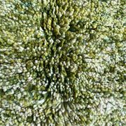 Tapis marocain berbère 250cmx150cm