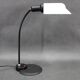 1980s Broggi and Burckhardt model Lula Table Lamp for Programma Luce, Italy