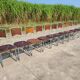 Set of 10 tubular oak bistro dining chairs in vintage industrial style.