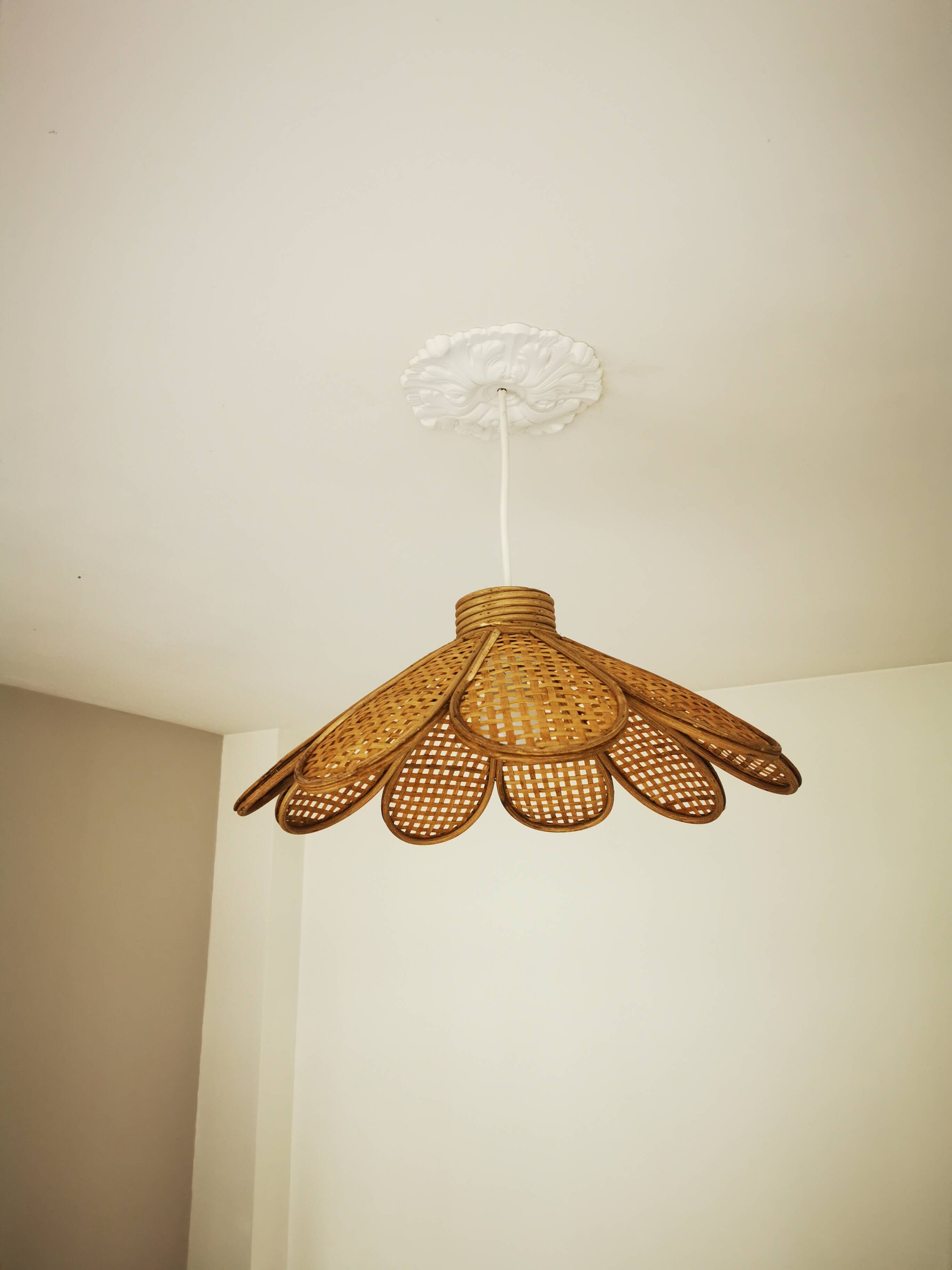 Bamboo rattan suspension and canning