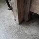 Old in solid beech workbench 237 cm