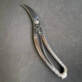 Poultry pruning shears – Hammered stainless steel - Germany