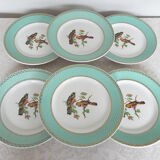 6 assiettes plates oiseaux