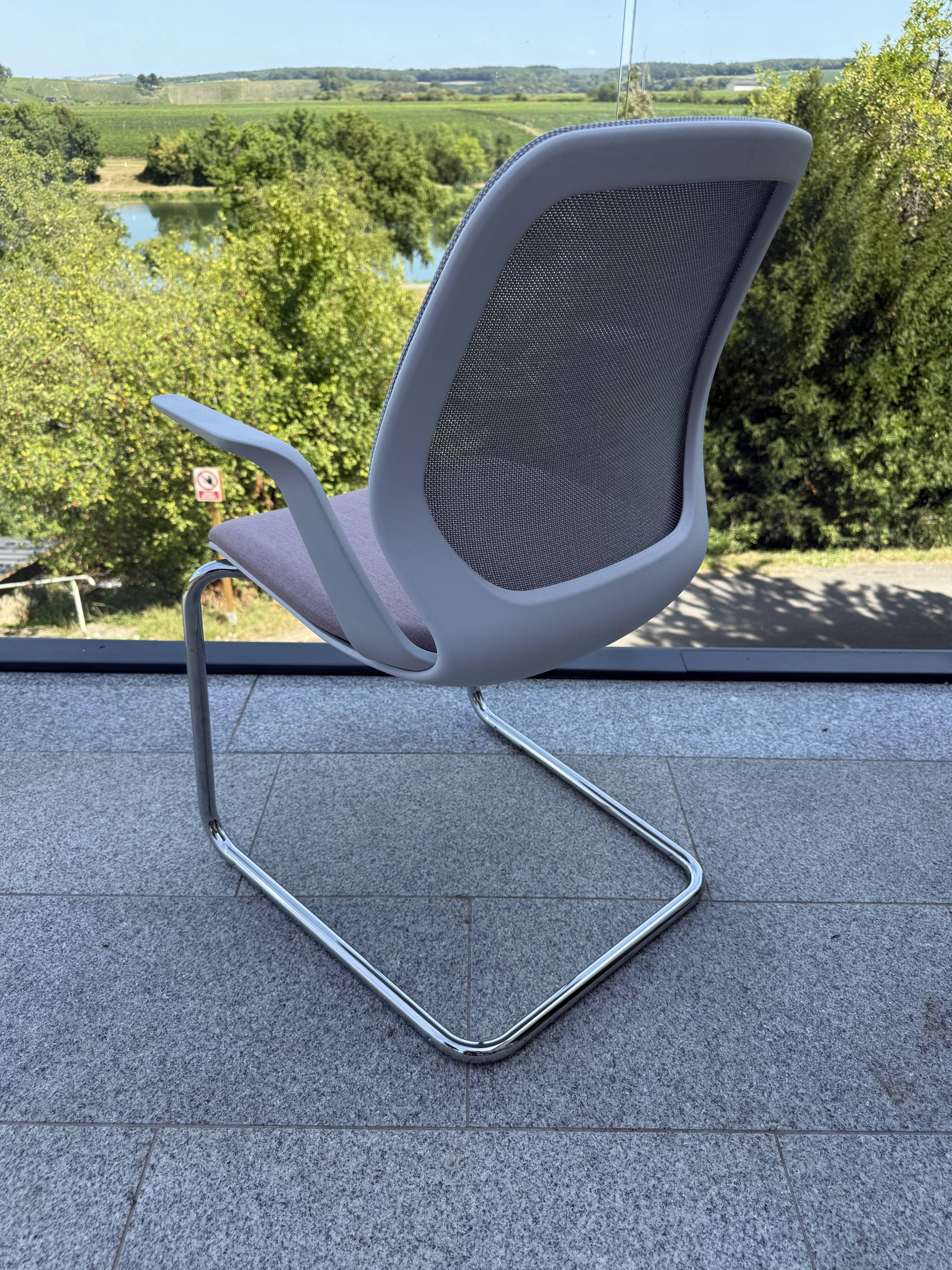 Sedus chair – SE:FLEX Freischwinger
