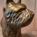 Chien scottish laiton