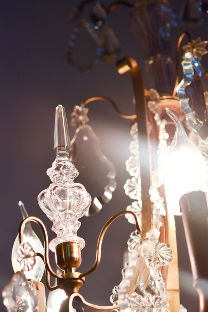 Classic French chandelier with grapevines