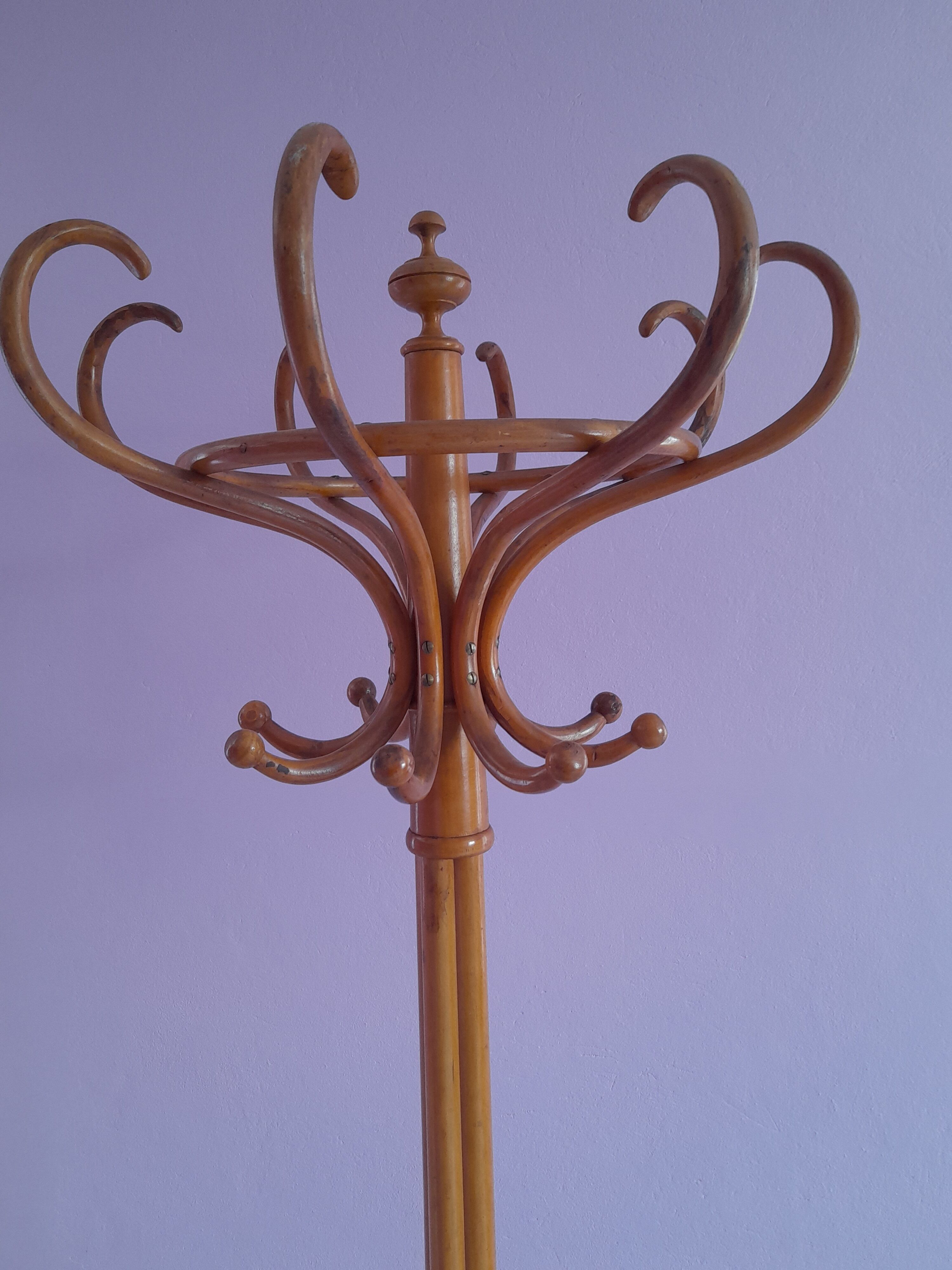 Coat rack called parrot