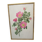 Antique botanical engraving