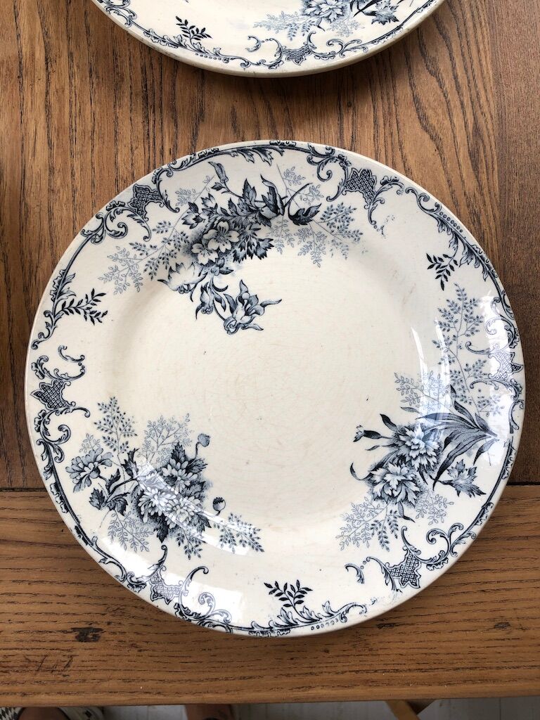 10 plates Terre de Fer Floreal Boulenger