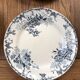 10 plates Terre de Fer Floreal Boulenger