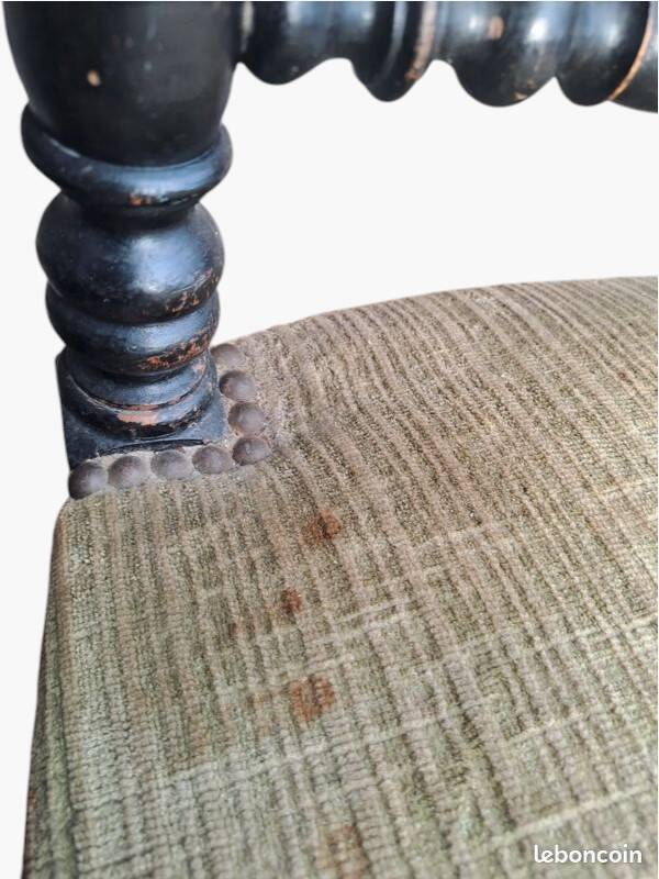 Pair of vintage twisted black wood chairs – Light green fabric seats