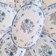 Antique oval Limoges plates