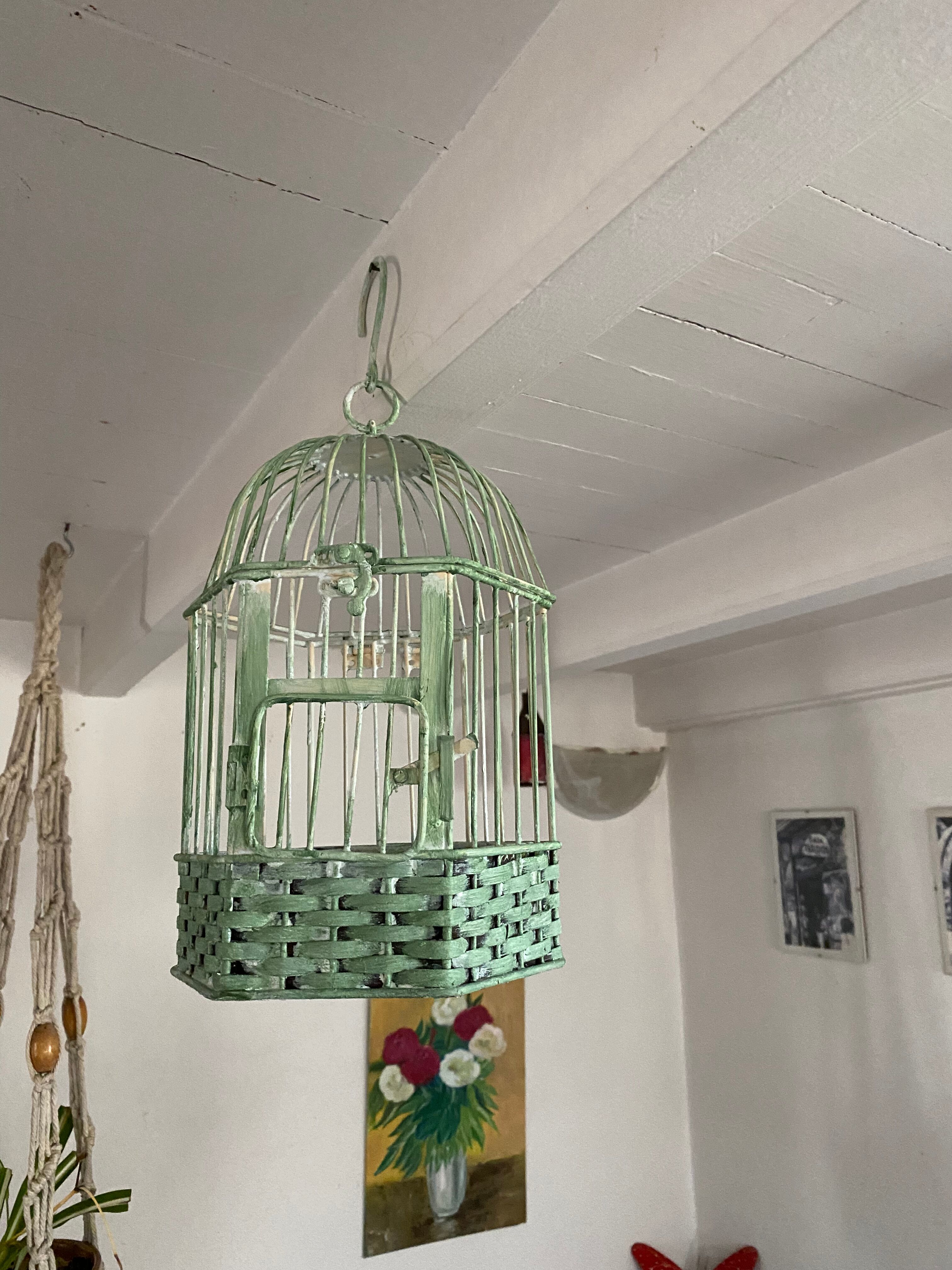 Decorative iron cage