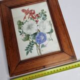 Cadre du début du XIXème siècle, bouquet de fleurs sauvages, signé, élève de Pierre-Joseph Redouté