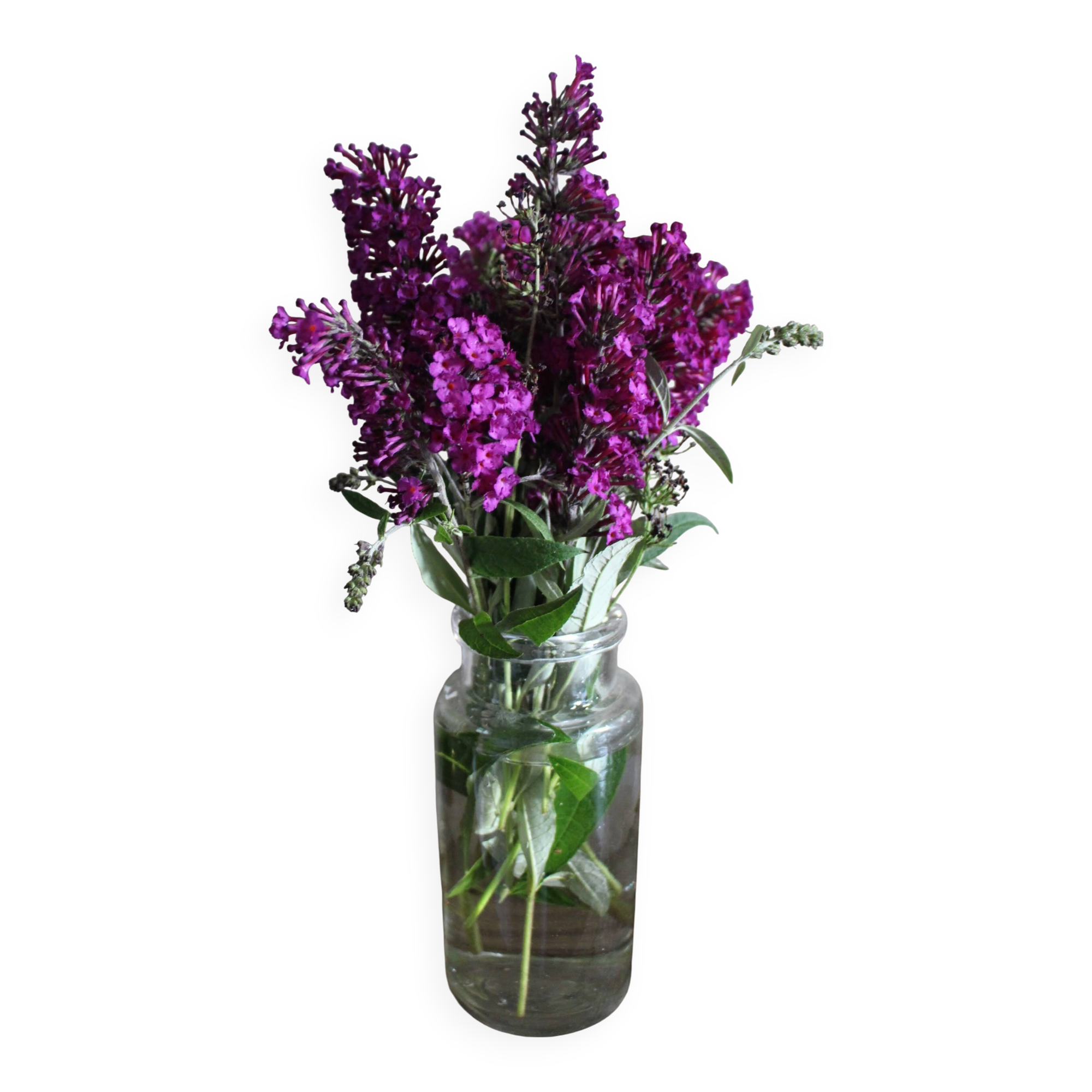 Vase Flacon en verre transparent Déco Détournement