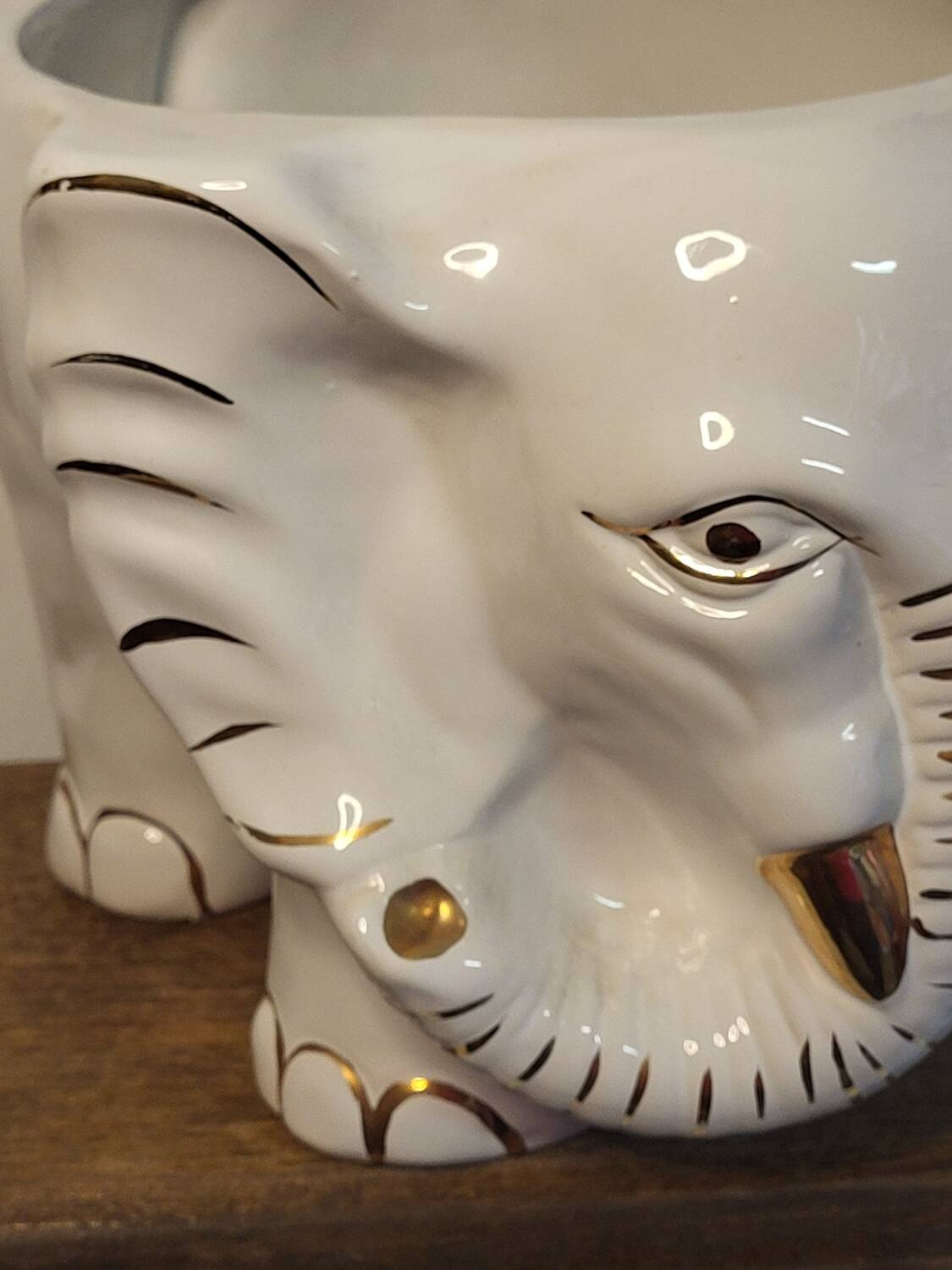 Elephant plant pot
