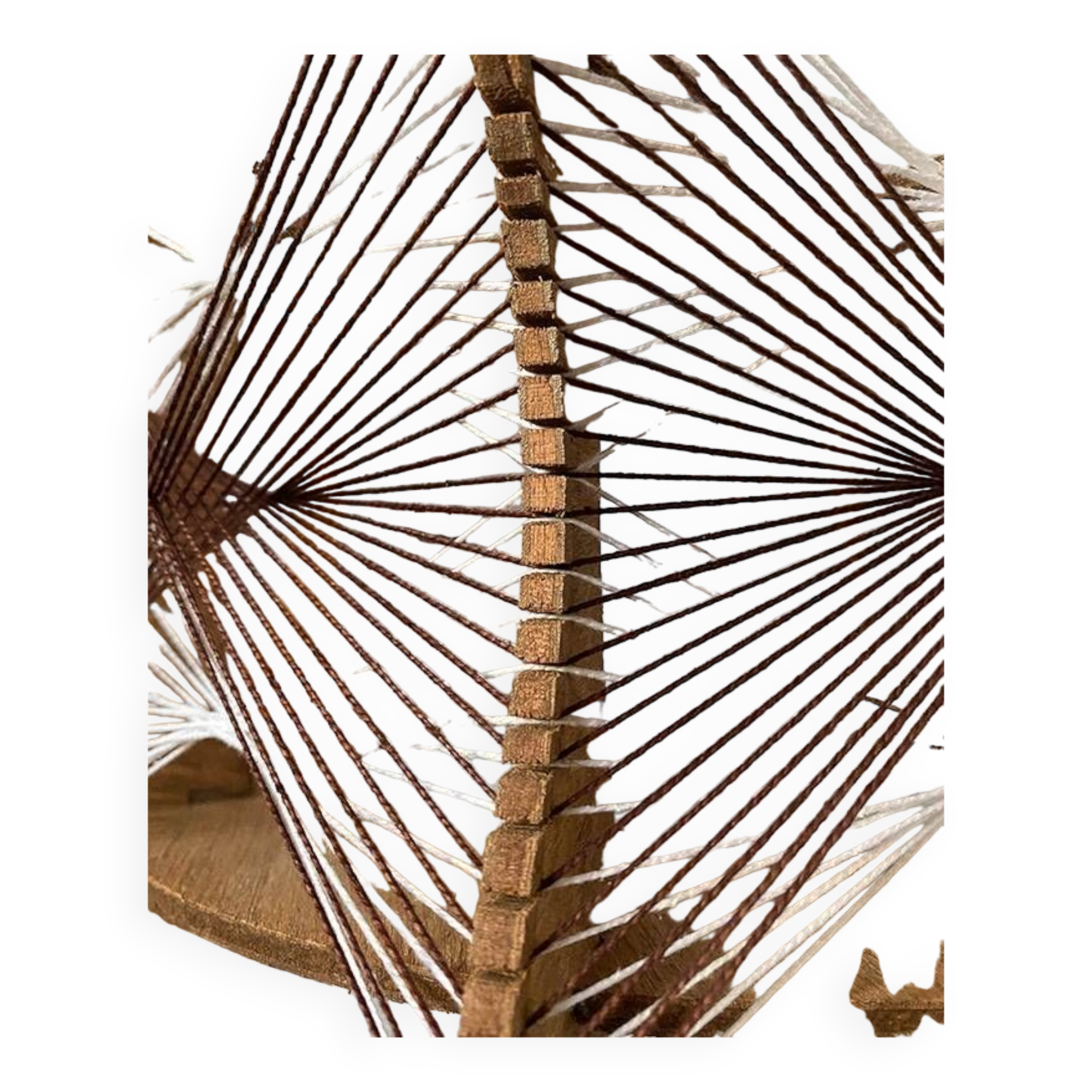 Hanging wood and stretched wire