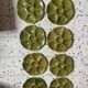8 assiettes à huîtres Barbotine 