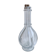 Liquor decanter with molded glass compartments early XXth