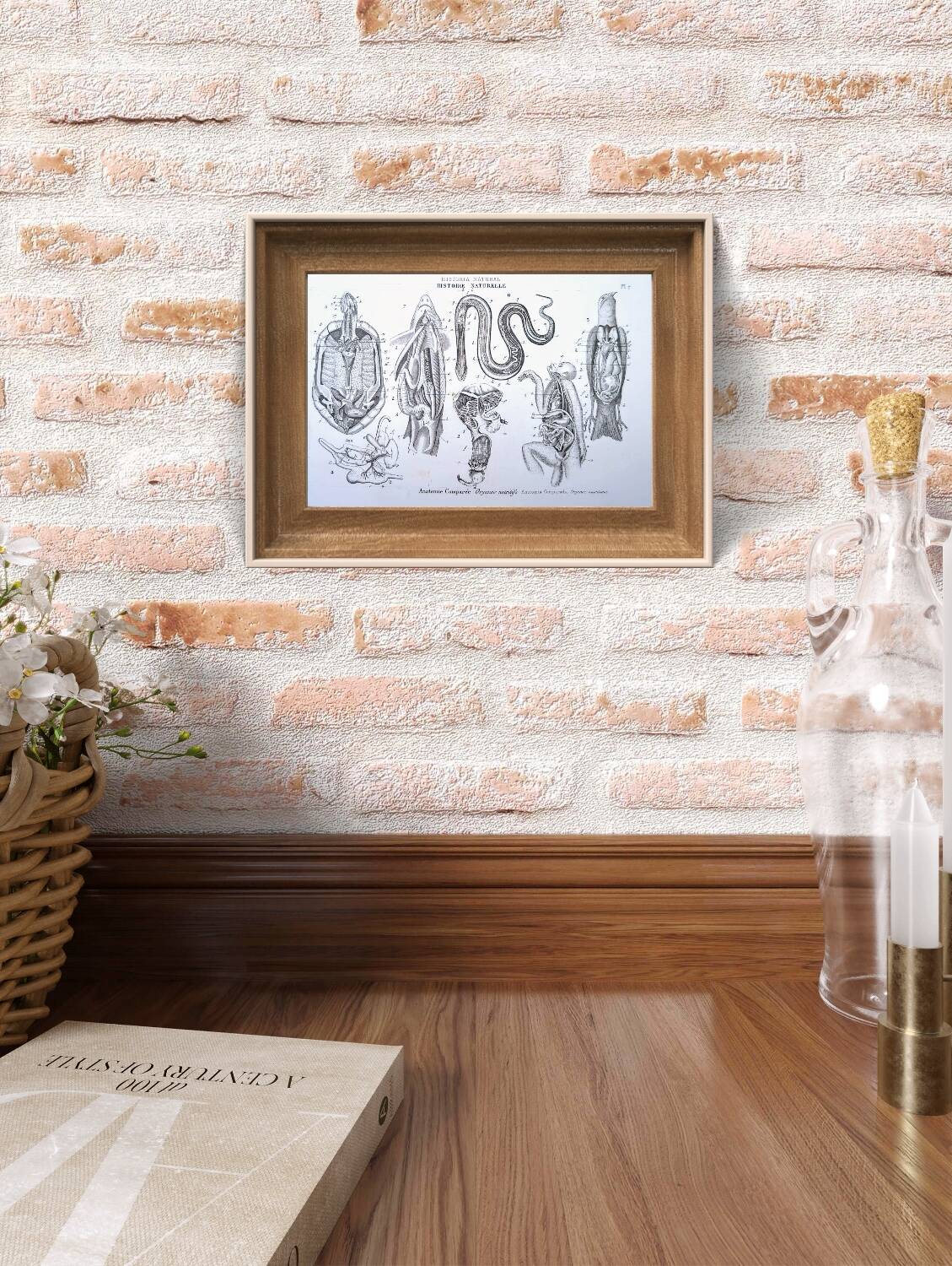 Printed in 1851, Zoological Poster.