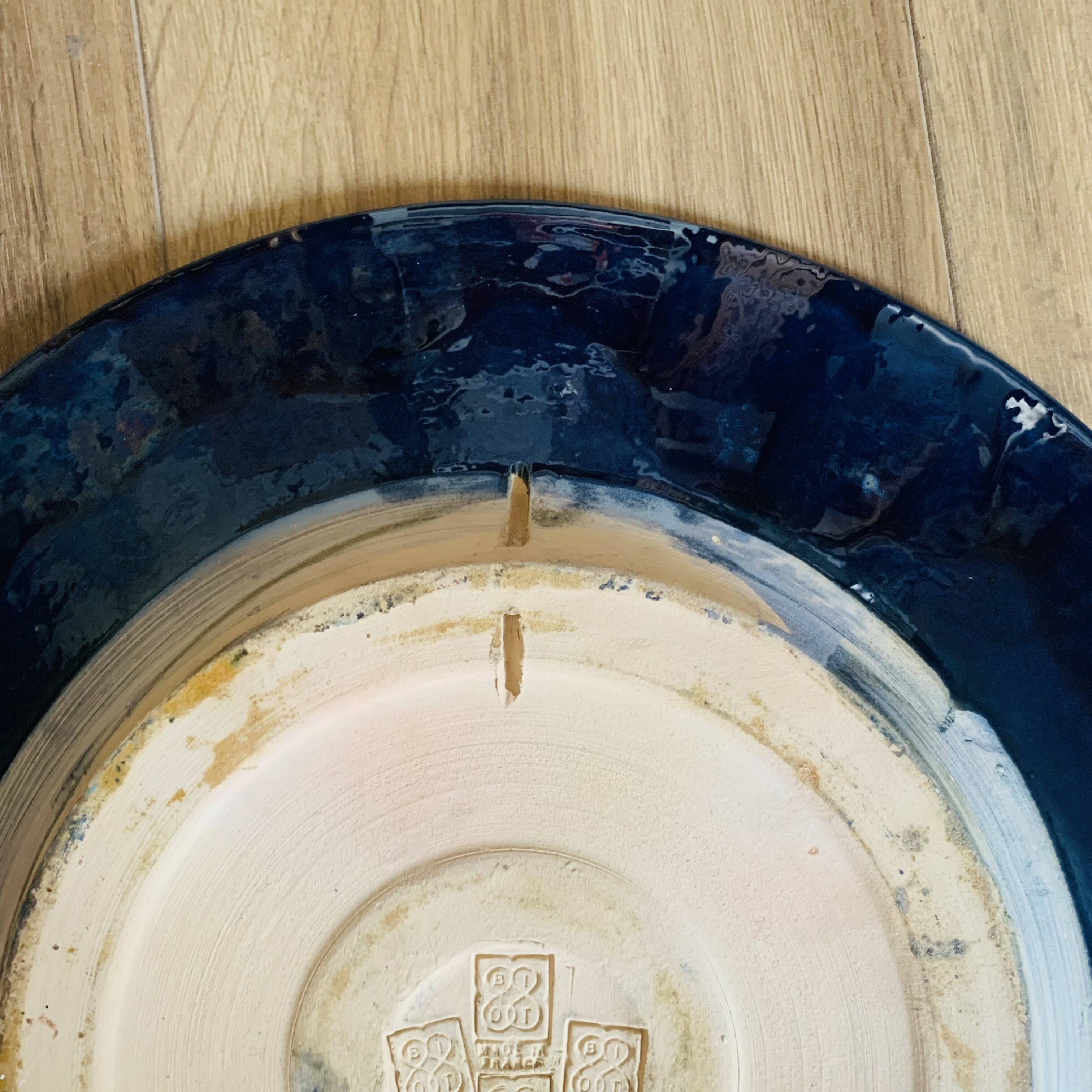 Large blue biot dish