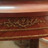 Louis XV style display case in mahogany and bronze
